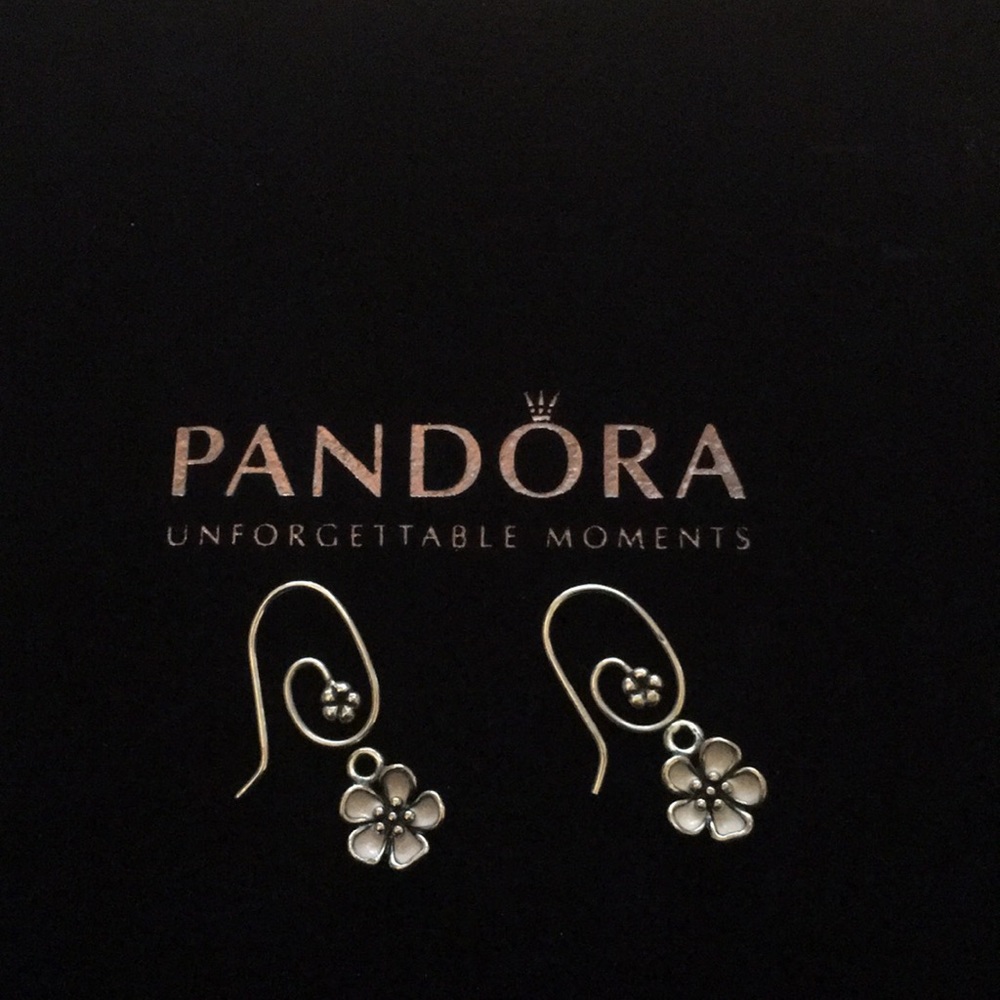 Pandora earring with charms